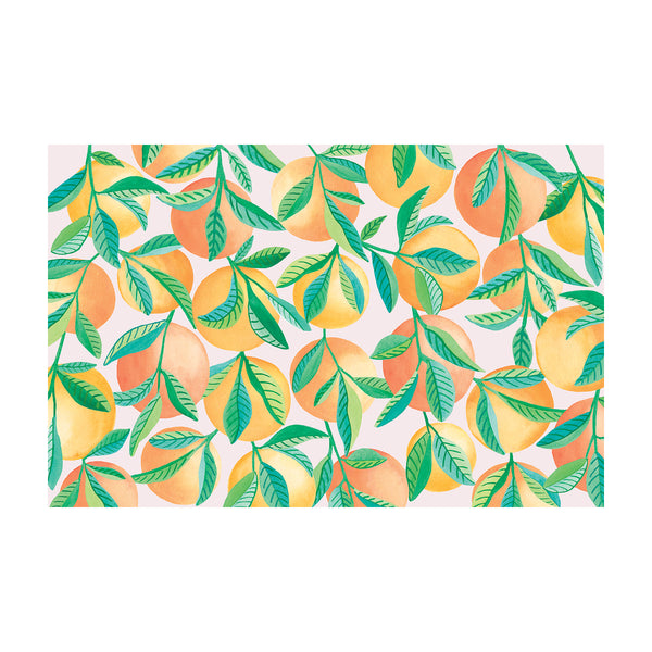 Fruit Grove Paper Placemats, Pack of 24 Paperless Post Party Shop