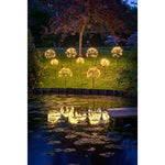 Solar Dandelion Light, Set of 3