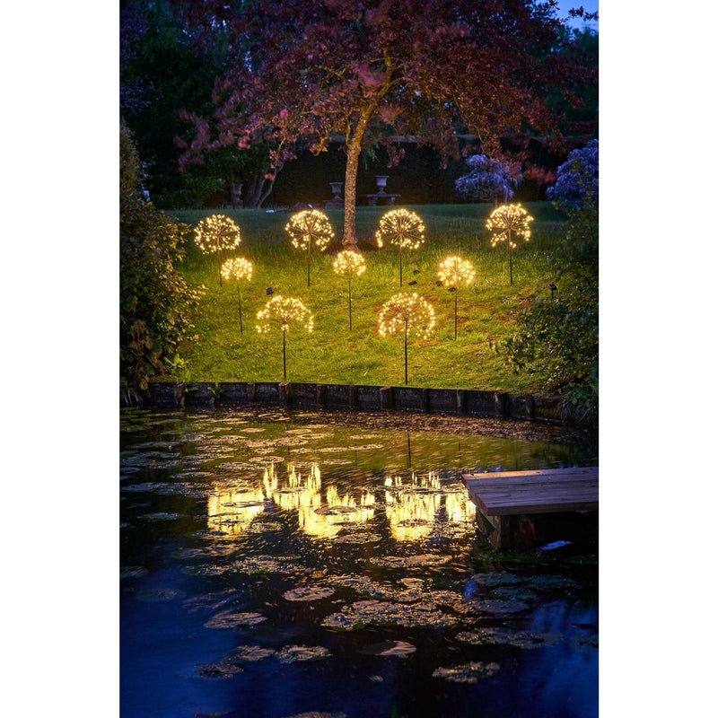 Solar Dandelion Light, Set of 3