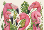 Tropical Flamingos Placemat, 24 Sheets