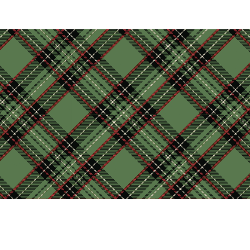 Green Plaid Placemat, Set of 24