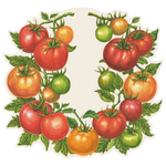 Die-cut Tomato Placemat, Set of 18