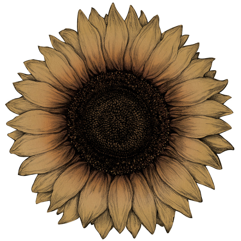 Die-cut Vintage Sunflower Placemat, Pack of 12