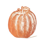 Pumpkin Place Card, Pack of 12