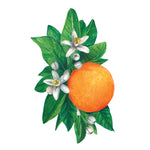 Orange Blossom Table Accent, Set of 12