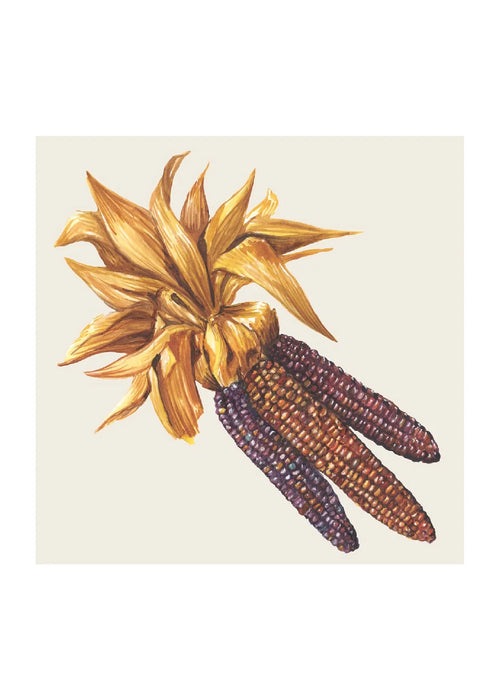 Maize Cocktail Napkin, Set of 20