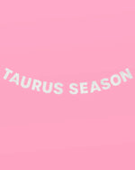 Taurus Season Banner - Silver Glitter Banner