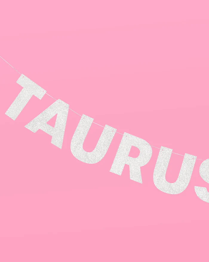 Taurus Season Banner - Silver Glitter Banner