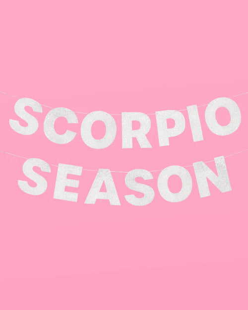 Scorpio Season Banner - silver glitter banner