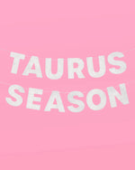 Taurus Season Banner - silver glitter banner