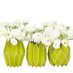 Charteuse Vase Wraps, Set of 3