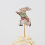 Peter Rabbit In The Garden Cupcake Kit, Pack of 24