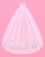 Something Blue Veil - Embroidered Tulle Veil