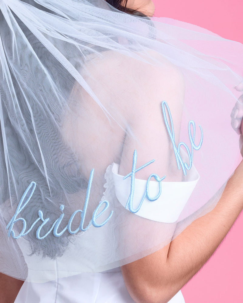 Something Blue Veil - Embroidered Tulle Veil