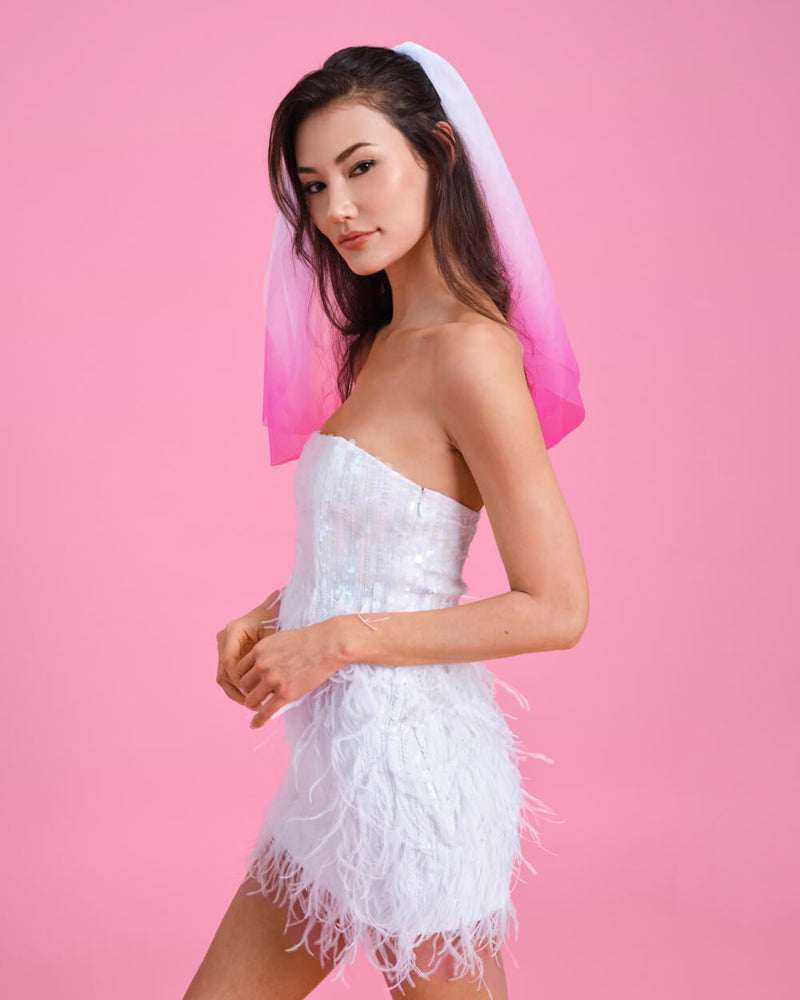 Let'S Go Party Veil - Pink Ombre Veil