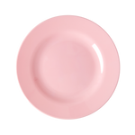 Melamine Lunch Plate