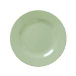 Melamine Lunch Plate