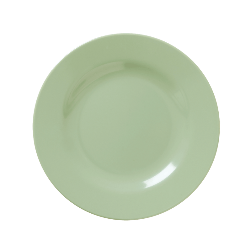 Melamine Lunch Plate
