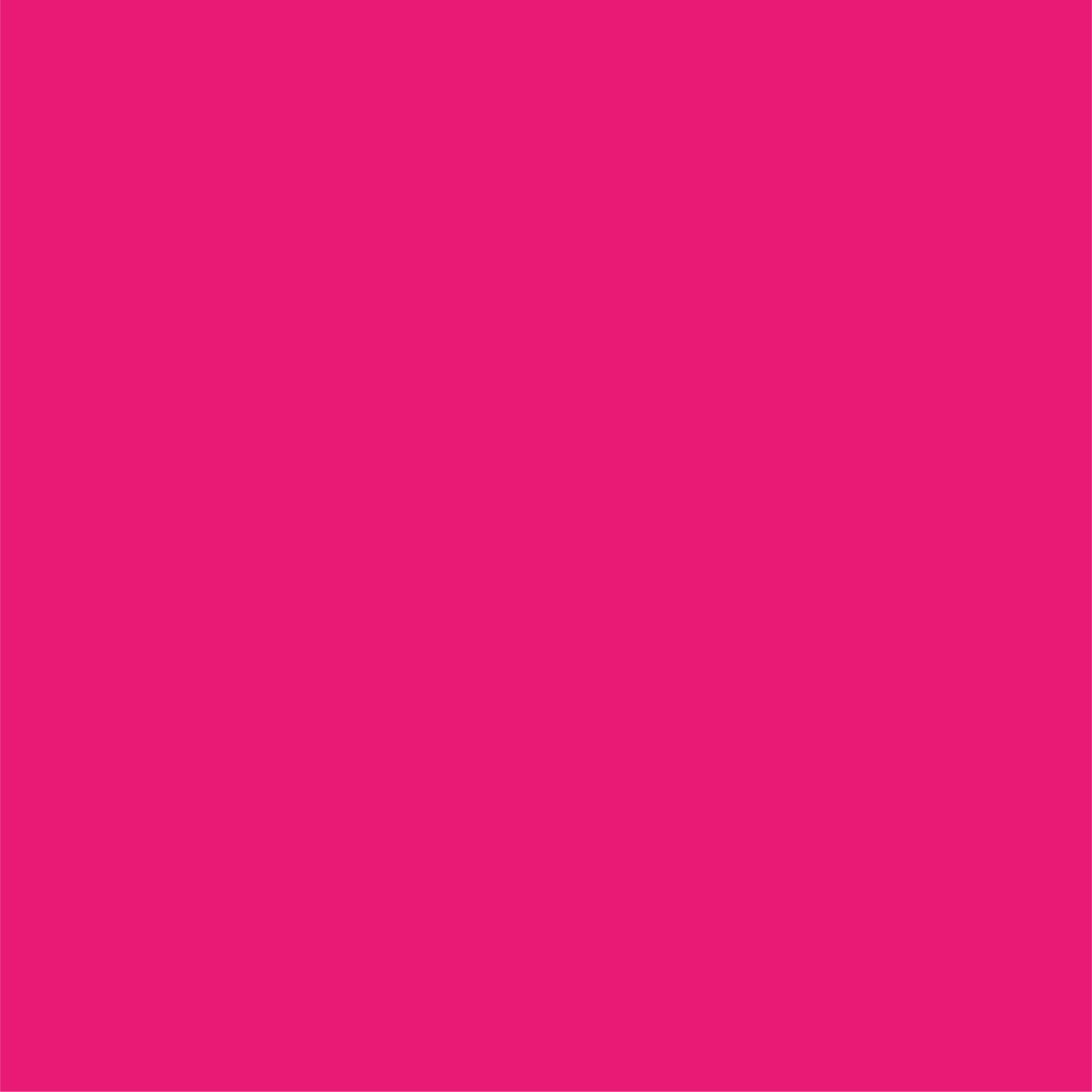 Hot Pink Classic Large Plates (10 per pack) | Paperless Post Party Shop