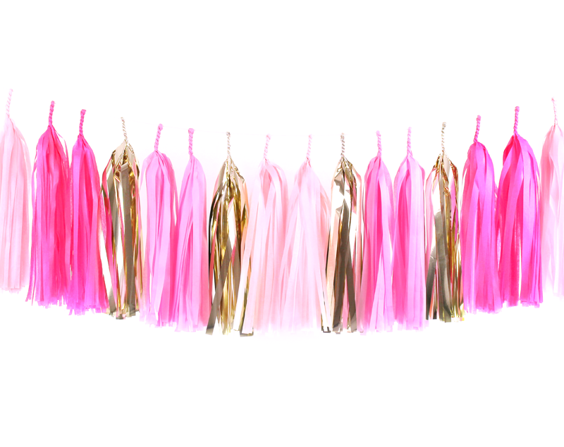 Tassel Garland Kit - Pink Party