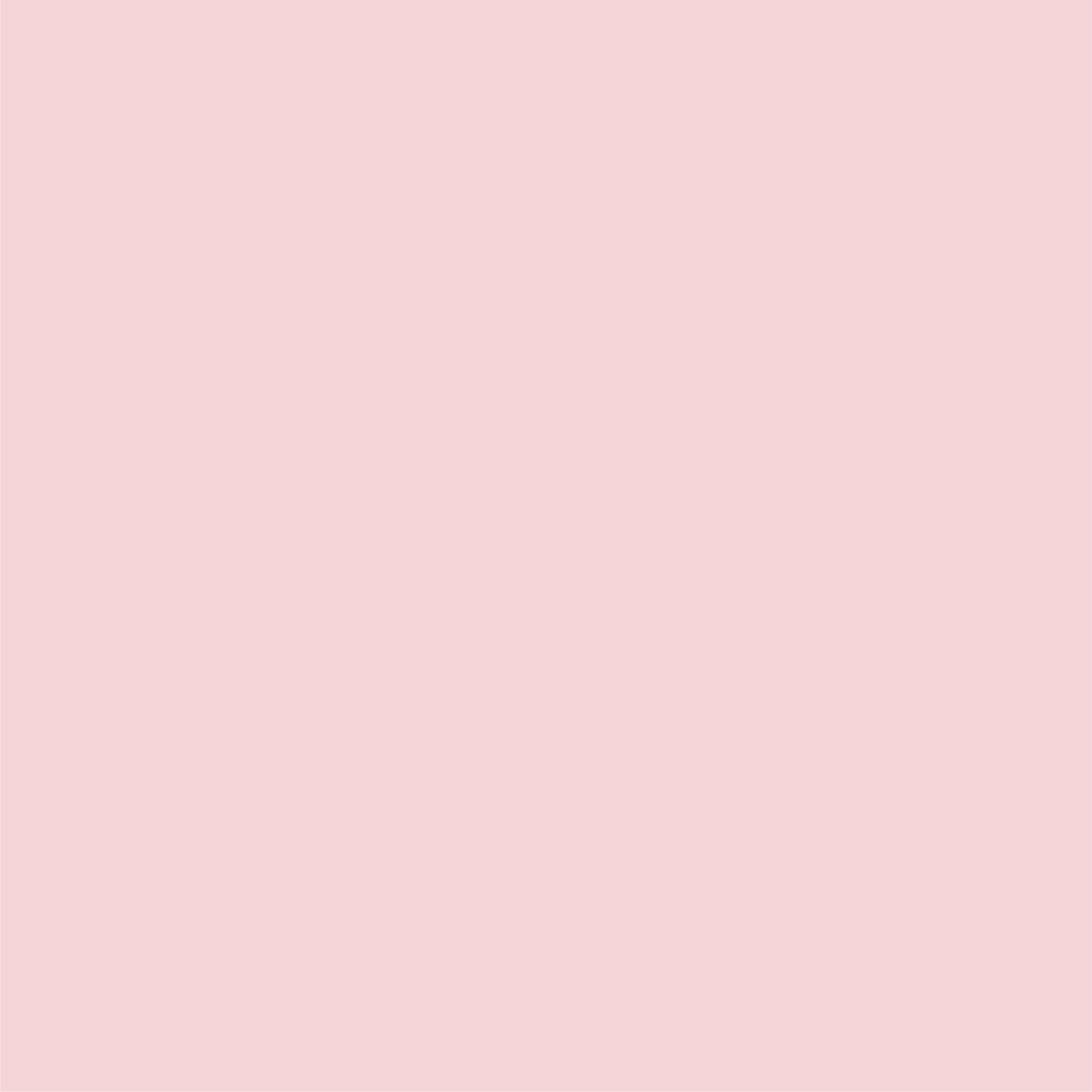 Pale Pink Party Fans | Paperless Post Party Shop