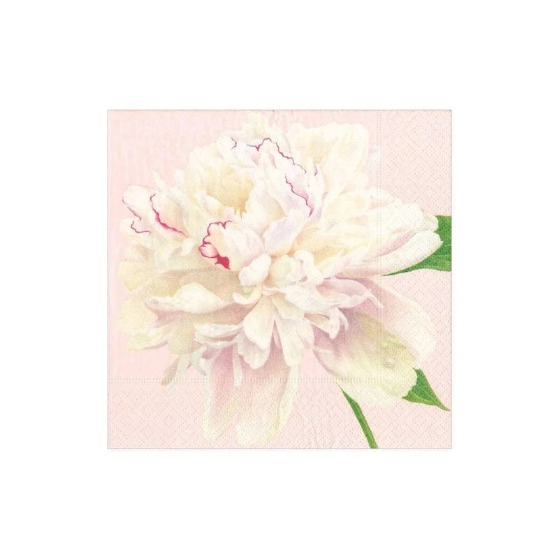 Duchess Peonies Paper Cocktail Napkins in Blush - 40 Per Package